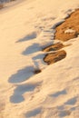 Spring thawed patches. snow melts the earth is visible.