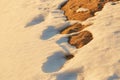 Spring thawed patches. snow melts the earth is visible.