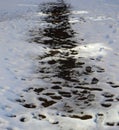 Spring thawing with black soil in white snow