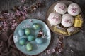 Spring theme.Easter bread and eggs with flowering twigs .