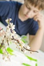 Boy making flowering apple tree garden layout. Royalty Free Stock Photo