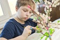 Boy making flowering apple tree garden layout. Royalty Free Stock Photo