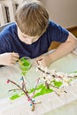 Boy making flowering apple tree garden layout. Royalty Free Stock Photo