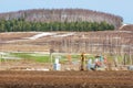 Spring tillage, birch without leaves, withered grass, rocking oi