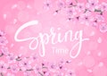 Spring time background with cherry blossoms flowers Royalty Free Stock Photo