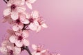 Spring Time Background Royalty Free Stock Photo