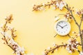 Spring time background. May flowers and April floral nature with alarm clock on yellow. Branches of blossoming apricot Royalty Free Stock Photo