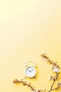 Spring time background. May flowers and April floral nature with alarm clock on yellow. Branches of blossoming apricot Royalty Free Stock Photo