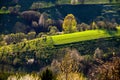 Spring time in beautiful agricultural landscape, green farm fields for animals and growing vegetables. Carpathian mountains, Royalty Free Stock Photo