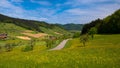 Spring time in the Black forest