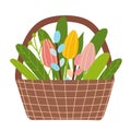 Spring time bucket with flowers, tulips and willow