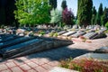 Spring time in the cemetery St Jose. Burgos Royalty Free Stock Photo