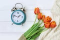 Spring Time Change Daylight Savings Royalty Free Stock Photo