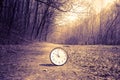 Spring Time Change. Summer back concept. Vintage alarm Clock outdoors Royalty Free Stock Photo