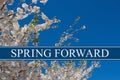 Spring Time Change Royalty Free Stock Photo