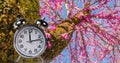 Spring time clock flowers nature space for your text , background