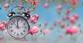 Spring time clock flowers nature space for your text , background