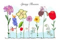 Spring time colorful doodle flowers. Iris, Narcissi and tulip flower