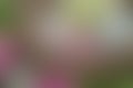 Spring time colors in defocused blur motion abstract background Royalty Free Stock Photo