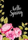 Spring time concept. Royalty Free Stock Photo