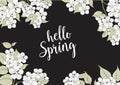 Spring time concept. Royalty Free Stock Photo