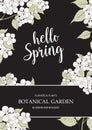 Spring time concept. Royalty Free Stock Photo