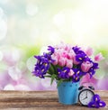 Spring time concept Royalty Free Stock Photo