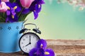 Spring time concept Royalty Free Stock Photo