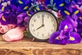 Spring time concept Royalty Free Stock Photo
