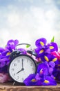 Spring time concept Royalty Free Stock Photo