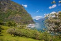 Spring time with cruise ship in fjord, Flam, Norway Royalty Free Stock Photo