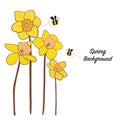 Spring time daffodil flower with bee illustration blossom background