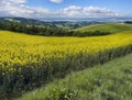 Spring time in the East Yorkshire Wolds - England Royalty Free Stock Photo