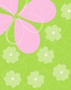 Spring time flower background