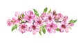 Spring time flowering composition. Peach, almond, plum, cherry, sakura flowers, pink apple blossom. Gentle watercolor