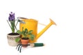 Spring Time Gardening With Watering Can, Trowel an Royalty Free Stock Photo