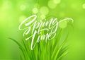 Spring time handwritten calligraphy lettering with grass background. Vector illustration