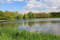 Lake shore in springtime