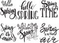 Spring time lettering greeting set special springtime typography vector illustration. Spring time handmade text quote Royalty Free Stock Photo