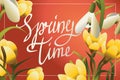 Spring time lettering horisontal postcard or banner