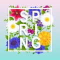 Spring Time Poster Royalty Free Stock Photo