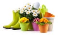 Spring time, pots colorful primroses and a large vase of daisies, surrounded by green rubber boots and watering can. Pots of