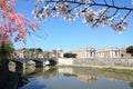 Spring time in Rome, Italy Royalty Free Stock Photo