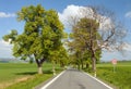 Spring time or springy alley and road, springtime view