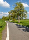 Spring time or springy alley and road, springtime view