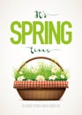 Spring Time Royalty Free Stock Photo