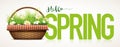 Spring Time Royalty Free Stock Photo