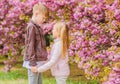 Spring time to fall in love. Kids in love pink cherry blossom. Love is in the air. Couple adorable lovely kids walk