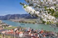 Spring time in Wachau, Spitz village with boat on Danube river, Austria