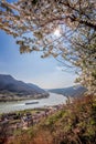 Spring time in Wachau, Spitz village with boat on Danube river, Austria